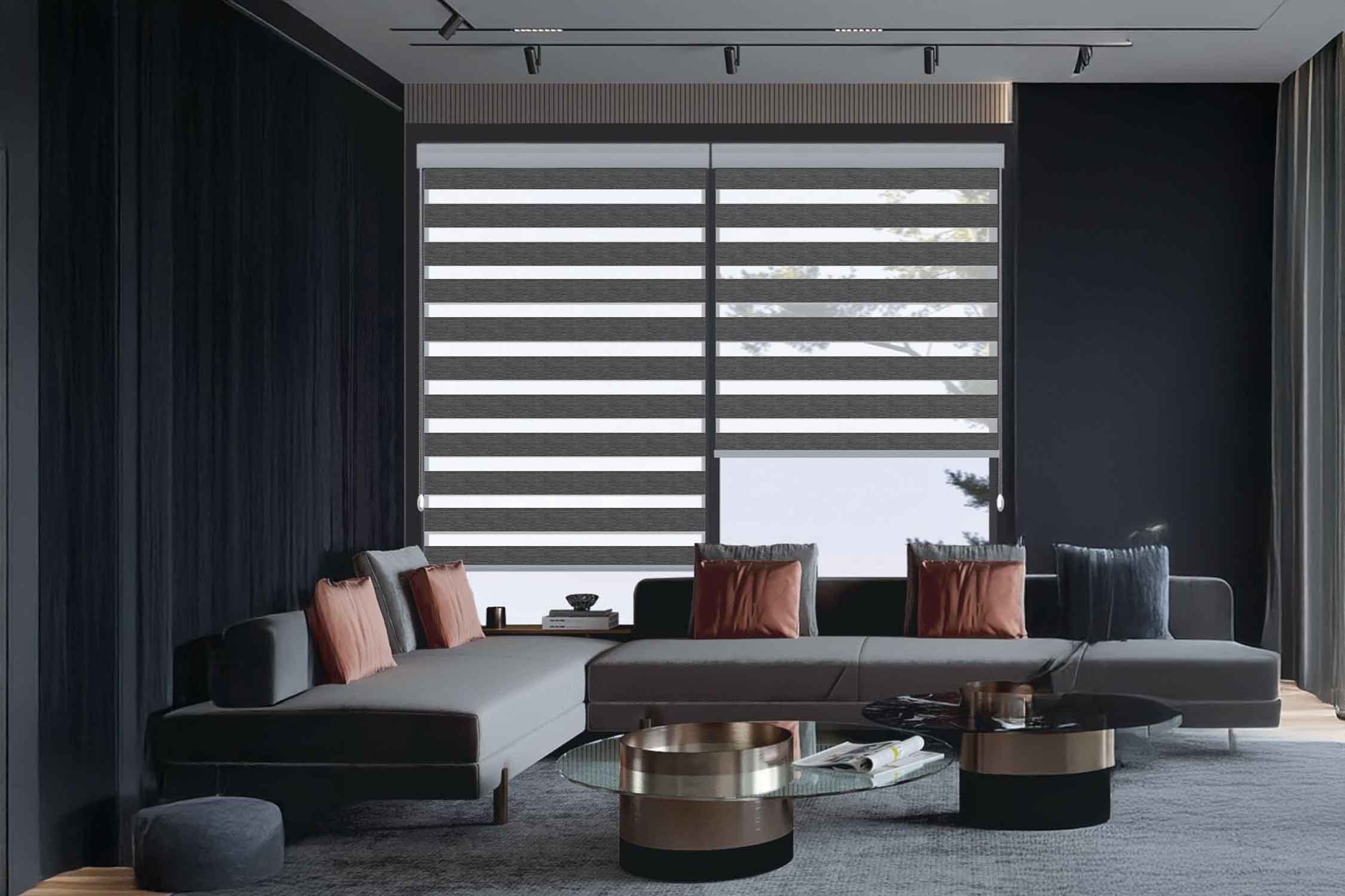 Zebra Blinds